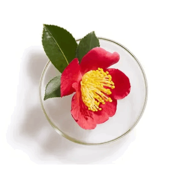 TSUBAKI, TSUBAKI Premium Moist & Repair, პრემიუმ კონდიციონერი Shiseido-სგან 450ml - Image 5