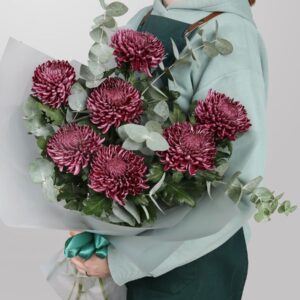 ქრიზანთემები  ევკალიპტით - Velvet Bloom