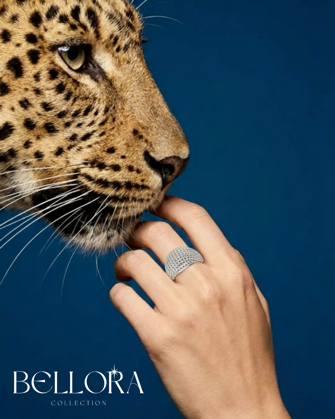 Bellora, ვერცხლის რეგულირებადი ბეჭედი, Silver ring - Image 5