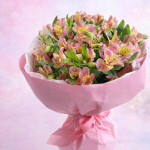 ნაზი ემოცია Blush Harmony