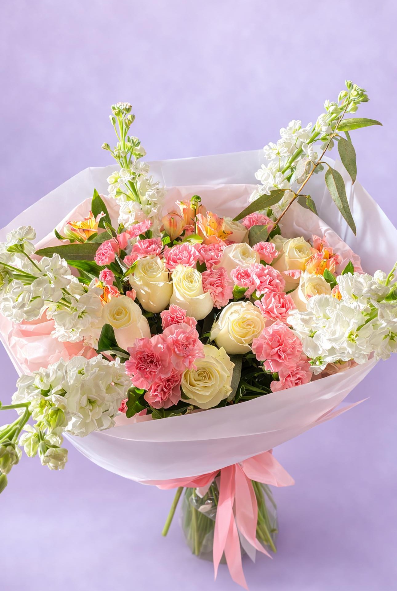 ვარდისფერი ოცნება / Pink Dream